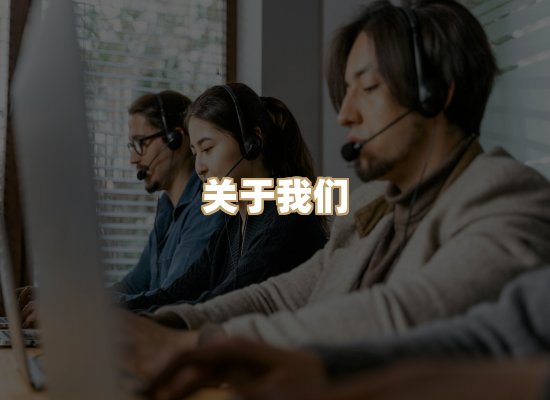 关于至岚排版网